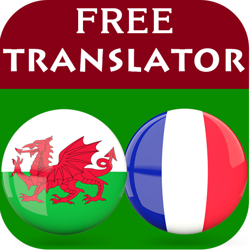 Welsh French Translator