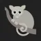Possum