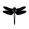 Dragonfly organic