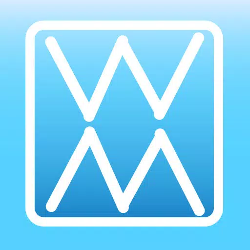 BiWebMemo