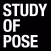Study of Pose