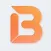 Brainbubble: Ace your Job