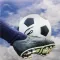 Pro Football Soccer League 3D