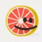 Grapefruit Journal