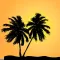 Hawaii Names