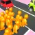 Crossy Crowd