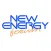 Palestra New Energy