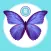 AR Butterflies