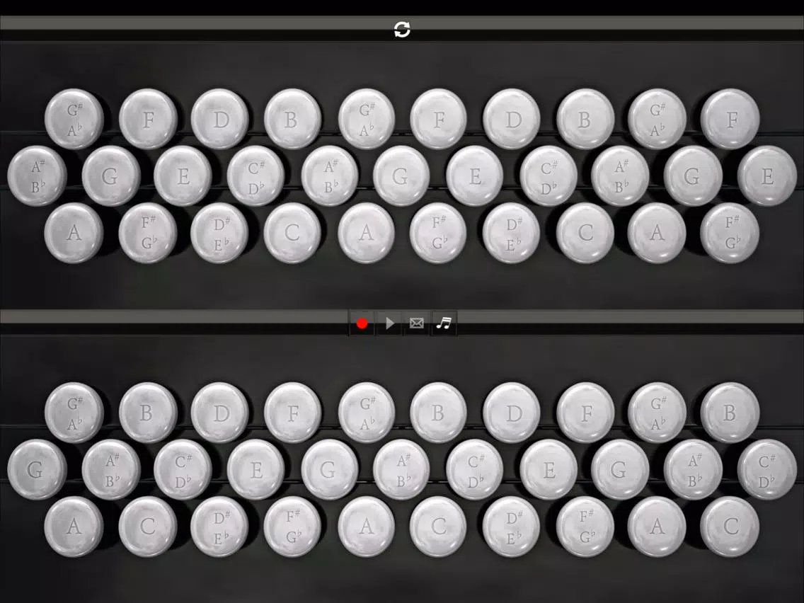 BandoneonSS iPad Screenshots