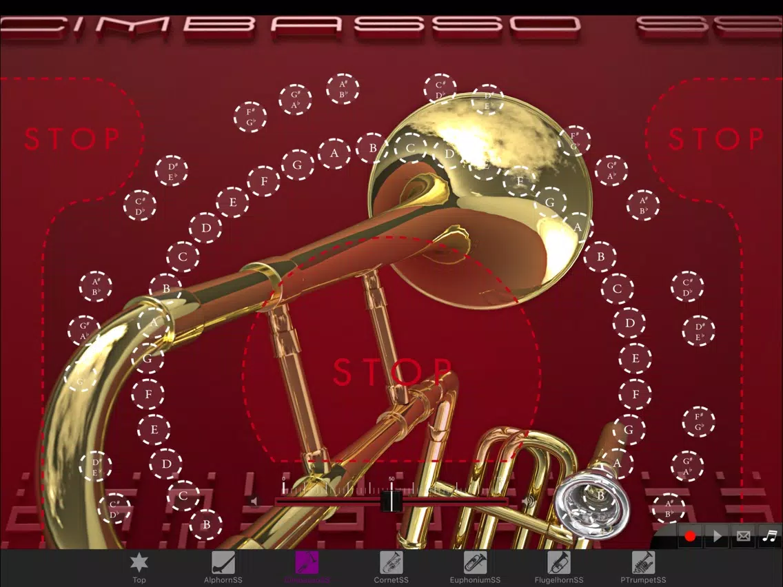 Brass instrumentSS Vol.2 iPad Screenshots