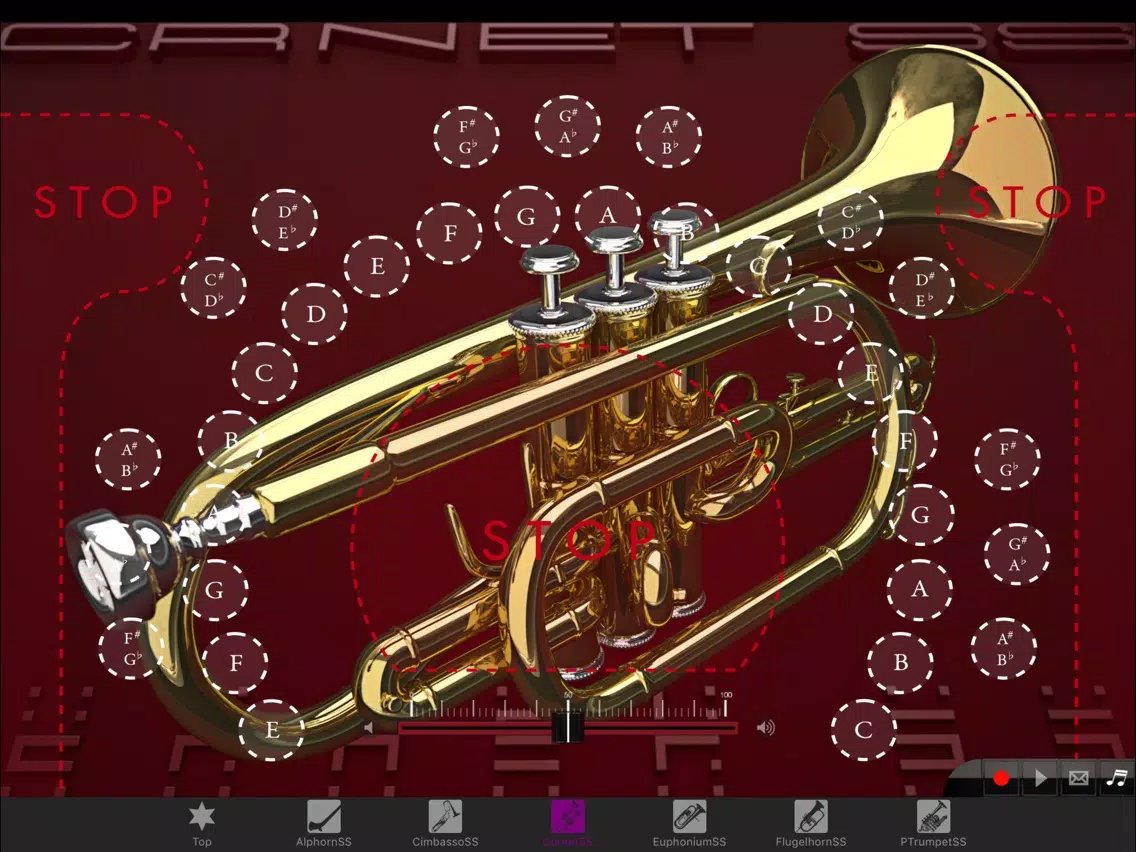 Brass instrumentSS Vol.2 iPad Screenshots
