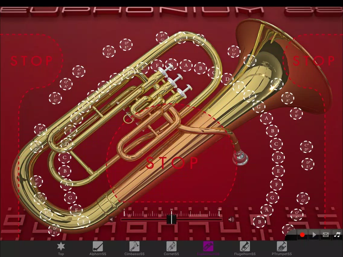 Brass instrumentSS Vol.2 iPad Screenshots
