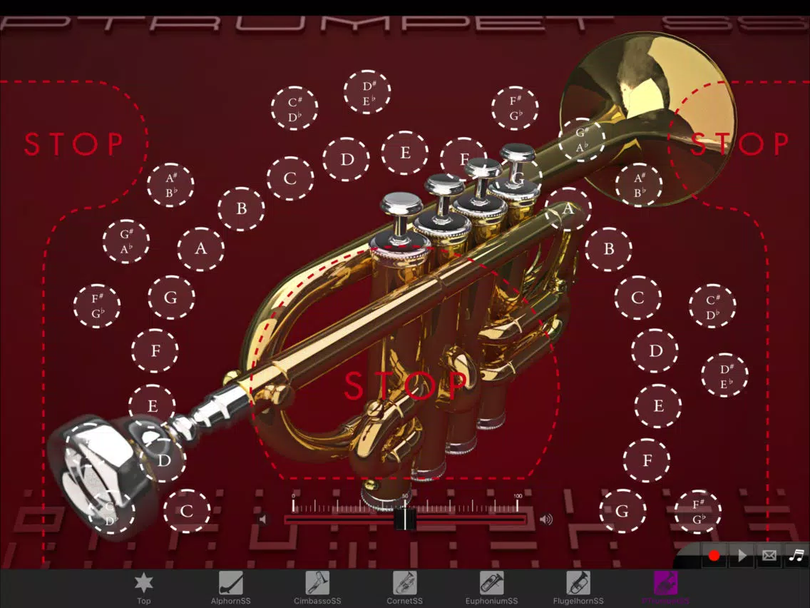 Brass instrumentSS Vol.2 iPad Screenshots