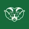 Badin Athletics