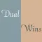 Dual Windows