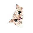 Nala and White Coffee Cat