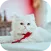50000 Animals Wallpapers