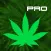 Cannabis News Pro