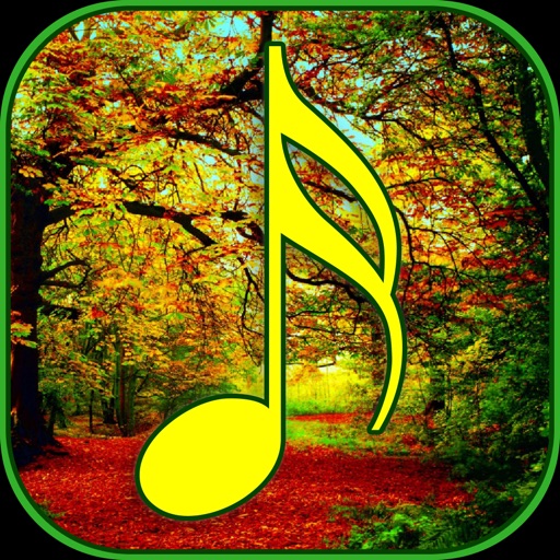 Forest Sounds for Sleep - Ambient Forest Sounds Forest Sounds for Sleep - Ambient Forest Sounds