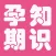 孕期知识大全 - 包含孕期40周必备知识,助宝宝健康成长.