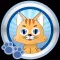 Cat Toys I: Games for Cats