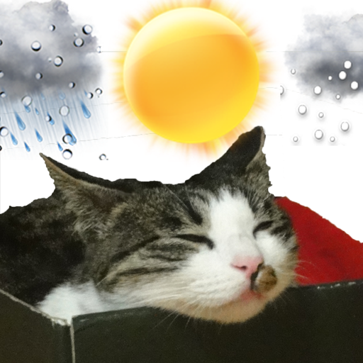 쩜돌예보