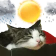 쩜돌예보