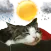 쩜돌예보