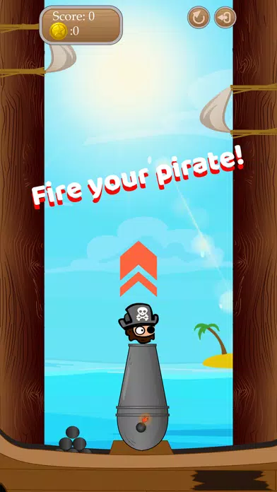 Pirate Cannon Screenshots