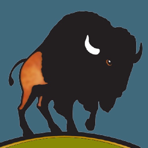 The Bison App The Bison App