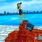 Ragdoll Milk Crate Challenge