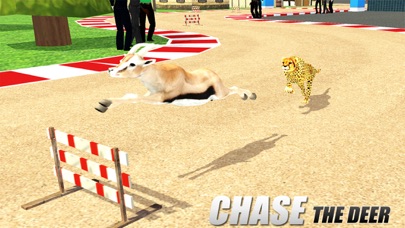 Crazy Wild Animal Racing Game应用截图