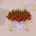 Duck Master Crowd