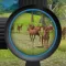 Hunting the deer