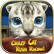 Crazy Cat Rush Racing