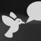 Bird Sound Identification