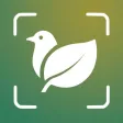 Animal & Plant Identifier
