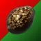 Cowry Dice