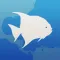 Fishlist: Caribbean