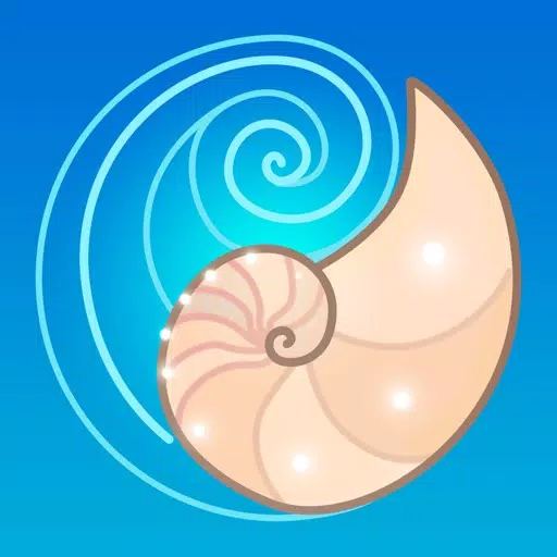 Seashell Seashell