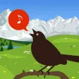 Chirp! Bird Songs UK & Europe Chirp! Bird Songs UK & Europe