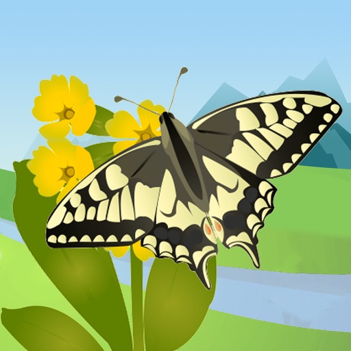 Butterfly Guide - Europe Butterfly Guide - Europe