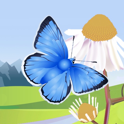 Butterflies & Day Moths UK Butterflies & Day Moths UK