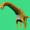 Animal Cross Road 3D