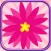Serenity Meditation