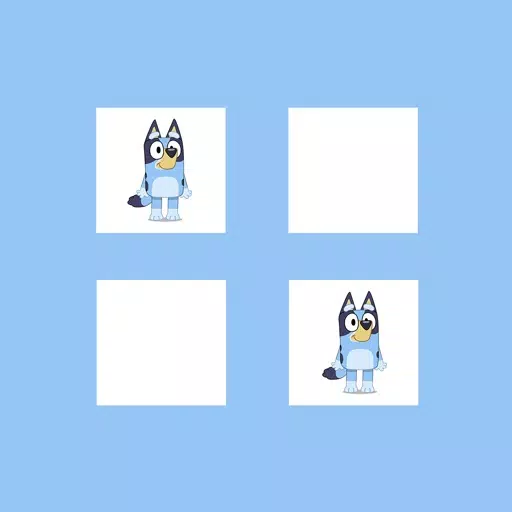 Bluey Match
