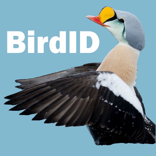 BirdID Nord University BirdID Nord University