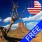In Sight - USA (Free)