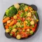 Vegetarian Recipe Book