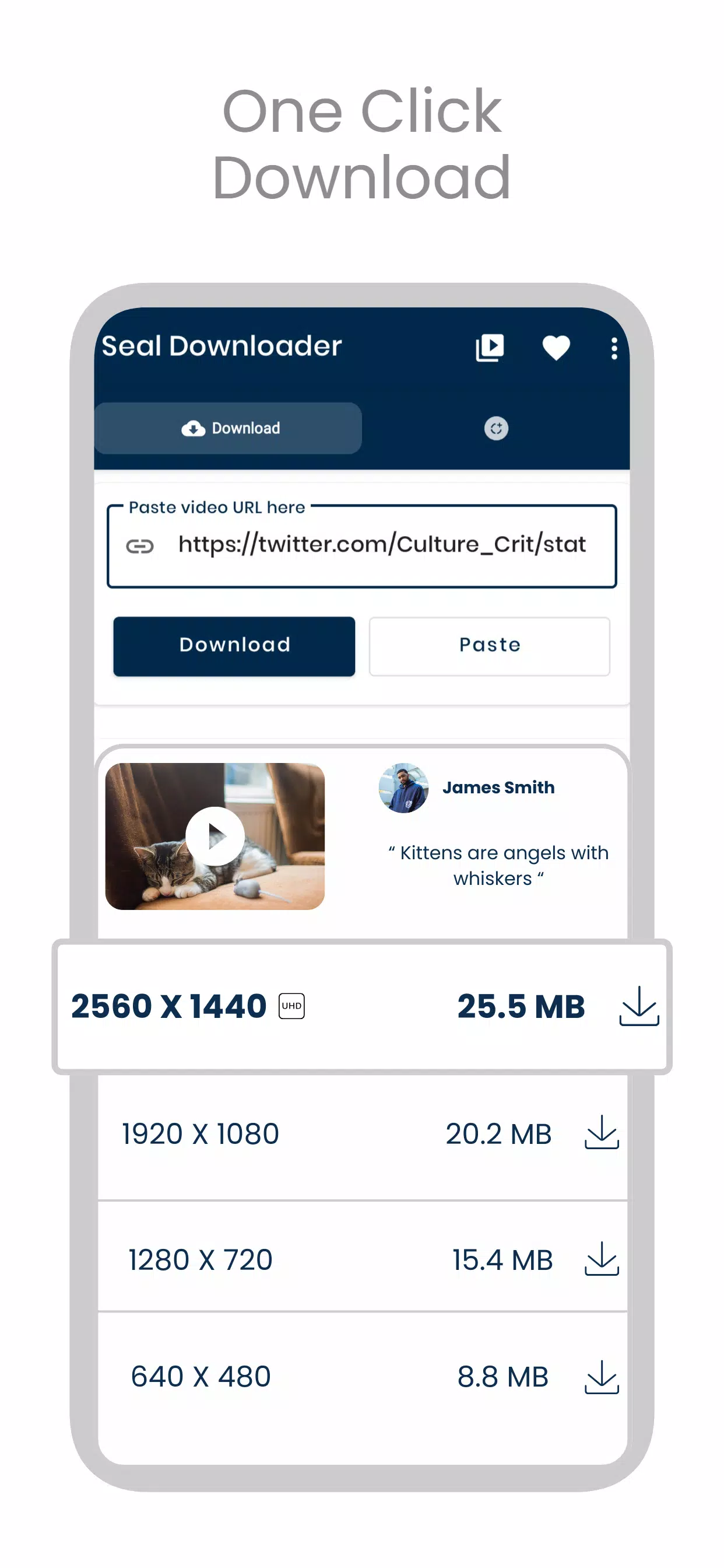 Zrzuty ekranu SealX Downloader